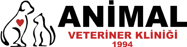 Kayseri Veteriner